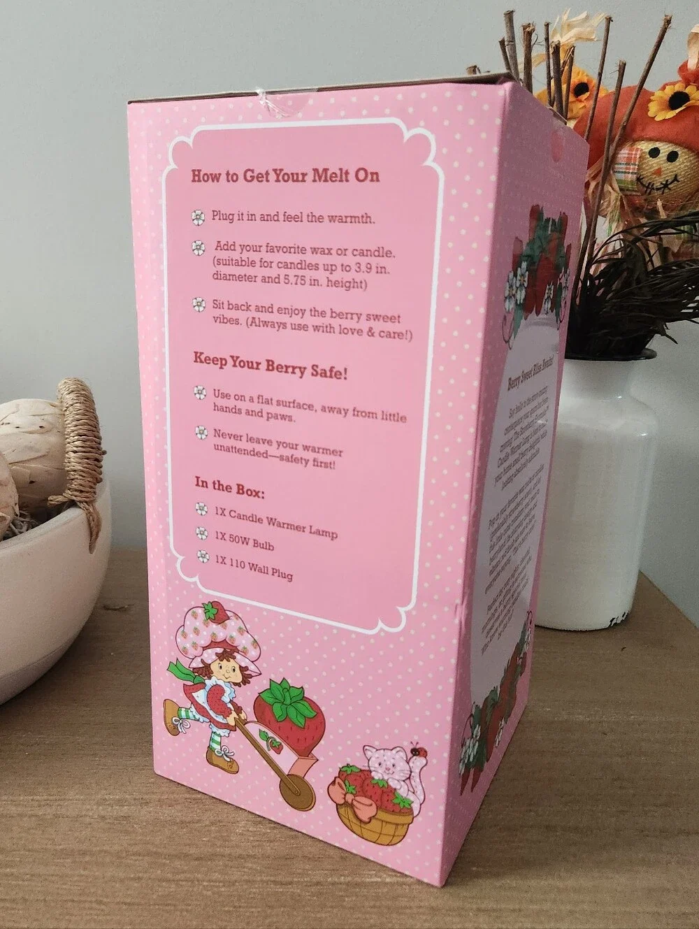 Strawberry Shortcake Candle Warmer Lamp Timer Glass Shade NWT 60W New In Box